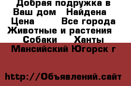 Добрая подружка,в Ваш дом!!!Найдена › Цена ­ 10 - Все города Животные и растения » Собаки   . Ханты-Мансийский,Югорск г.